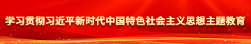 女生日皮网战学习贯彻习近平新时代中国特色社会主义思想主题教育