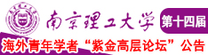 国产美女被大鸡巴插南京理工大学第十四届海外青年学者紫金论坛诚邀海内外英才！